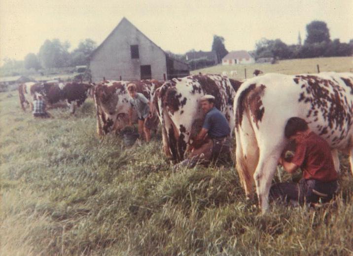 Traite des vavches en famille en 1964